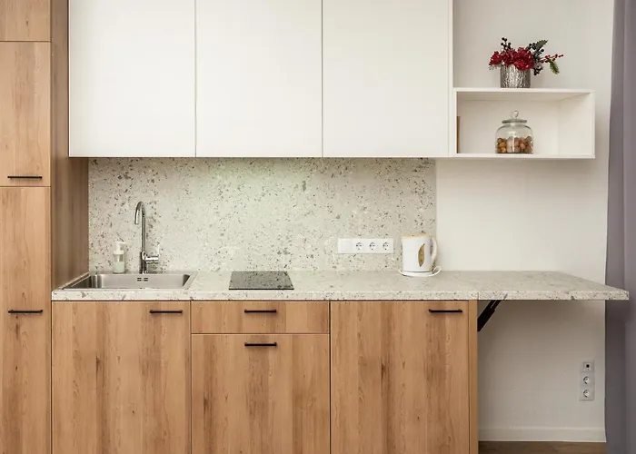 아파트 Air 114 빌뉴스